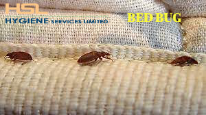 pest control service bangladesh